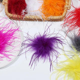 Colorful Ostrich Feather Brooch for Scarf Clip
