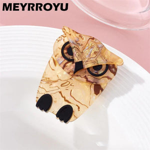 Owl Brooch Acrylic Animal Cartoon Funny Birthday Accessory