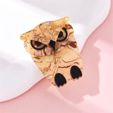 Owl Brooch Acrylic Animal Cartoon Funny Birthday Accessory