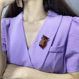 Acrylic Owl Animal Brooch for Fall Sweaters