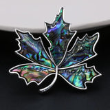 Abalone Mother Of Pearl Shell Brooch for Women