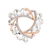 Rhinestone Crystal Flower Brooch Pin Scarf Clip Gift AH167