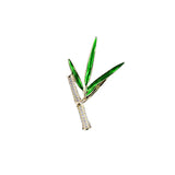 Chinese Bamboo Leaf Brooch & Men's Botanical Suit Jacket Corsage