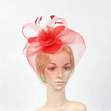 Women Fascinator Headpiece Hair Clip Wedding Ladies Races Bridal Tiara Bride Hai
