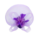 Women Fascinator Headpiece Hair Clip Wedding Ladies Races Bridal Tiara Bride Hai