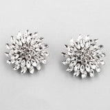 Flowers Wedding Shoe Buckle Austrian Crystal Shoe Clips Bridal Jewelry