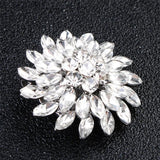 Flowers Wedding Shoe Buckle Austrian Crystal Shoe Clips Bridal Jewelry