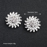 Flowers Wedding Shoe Buckle Austrian Crystal Shoe Clips Bridal Jewelry