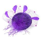 Feather Hair Clip Tiaras Wedding Hair Accessories