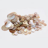 5Pcs Natural Shell Pendant Beads DIY Jewelry Making