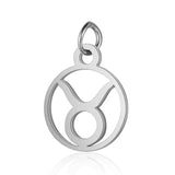 Zodiac Sign Stainless Steel Gemini Horoscope Necklace Pendant