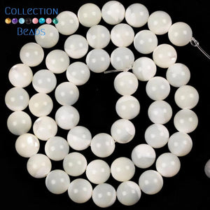 Natural Sea Shell Horseshoe Snail Spacer Beads 15''