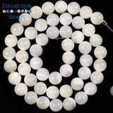 Natural Sea Shell Horseshoe Snail Spacer Beads 15''