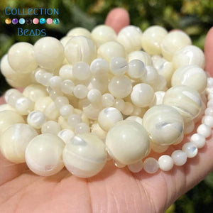 Natural Sea Shell Horseshoe Snail Spacer Beads 15''
