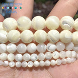 Natural Sea Shell Horseshoe Snail Spacer Beads 15''