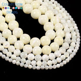 Natural Sea Shell Horseshoe Snail Spacer Beads 15''