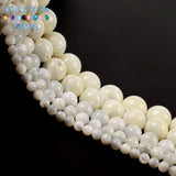 Natural Sea Shell Horseshoe Snail Spacer Beads 15''