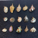 Shell Gilded Conch Pendant DIY Necklace Earrings Charm