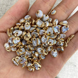 3pcs Freshwater Pearl Charms Pendants 8-10mm DIY Jewelry Making