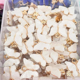 20Pc Acrylic Butterfly Charm Earrings DIY Accessory Colorful for Earrin