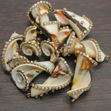Shell Pendant Mother OF Pearl Beads DIY Necklace Earrings