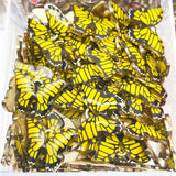 20Pcs/Set Butterfly Charm Golden Earrings Necklace Pendant DIY Supplies