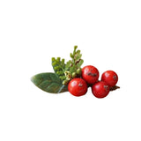 Retro Red Fruit Berry Duckbill Hair Clip Accessory