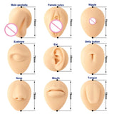 Silicone Human Ear Mouth Eye Model Piercing Display