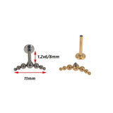 G23 Titanium Earrings for Girls Holiday Gift