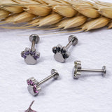 G23 Titanium Opal Lip Studs 16G Cat Scratching Labret