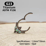 G23 Titanium F316 Nose Piercing Ring Nariz Piercing