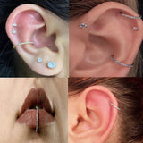 1PS G23 Titanium Zircon Segment Rings Small Septum Piercing Nose Earrings