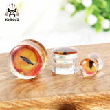 Kubooz Transparent Acrylic Ear Expanders Earrings Animal Logo in Pair