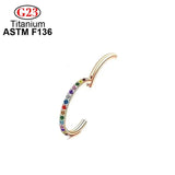 G23 Titanium Rainbow Zircon Hight Segment Rings Nose Ring Earring