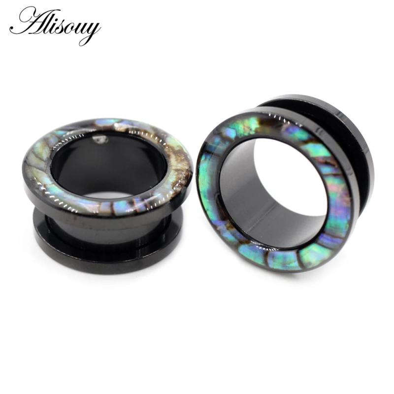 2pcs Enamel Steel Screw Ear Tunnels Plugs Flesh Expander Gauges