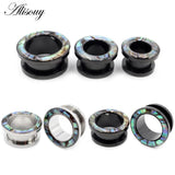 2pcs Enamel Steel Screw Ear Tunnels Plugs Flesh Expander Gauges