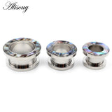 2pcs Enamel Steel Screw Ear Tunnels Plugs Flesh Expander Gauges