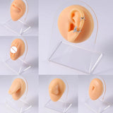 Silicone Human Body Model Displays Ear Mouth Eye Tongue Teaching Tool