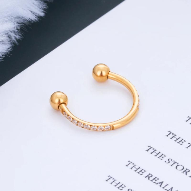 G23 Titanium Nose Earrings Zircon Nose Hoop