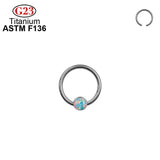 G23 Titanium CZ Stone Nose Ring Clicker Ear Piercing Hoop Earrings