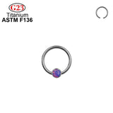 G23 Titanium CZ Stone Nose Ring Clicker Ear Piercing Hoop Earrings