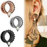 Giga 2PCS Ear Tunnels Plugs 316L Stainless Steel Ear Gauges Expander Piercing