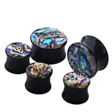 Abalone Shell Acrylic Ear Plugs Gauges Earrings Expander Piercing