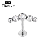 G23 Titanium 16G CZ Inlaid Drilling Ear Nail