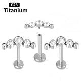 G23 Titanium 16G CZ Inlaid Drilling Ear Nail