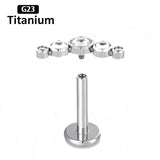 G23 Titanium 16G CZ Inlaid Drilling Ear Nail