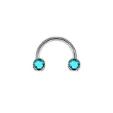 Titanium Nose Septum Ring 16G Crystal Gem Horseshoe Piercing Body Jewelry