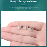 G23 Titanium Tragus Cartilage Bear Paw Internal Thread Earring