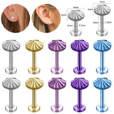 G23 Titanium Labret Piercing Shell Lip Ring