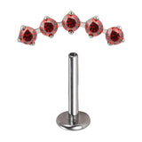 G23 Titanium 5 Prong Zircon Paved Ear Studs